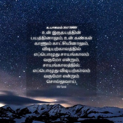Picture 04 - உபாகமம் 28:67 TAMIRV - உன் இருதயத்தின் - Bible Verse Picture