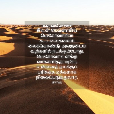 Picture 04 - உபாகமம் 28:9 TAMIRV - நீ உன் தேவனாகிய - Bible Verse Picture