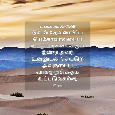 Picture 04 - உபாகமம் 29:11 TAMIRV - நீ உன் தேவனாகிய - Bible Verse Picture