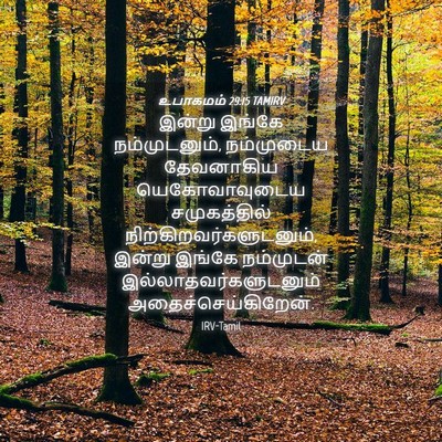 Picture 04 - உபாகமம் 29:15 TAMIRV - இன்று இங்கே - Bible Verse Picture