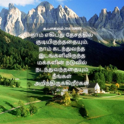 Picture 04 - உபாகமம் 29:16 TAMIRV - நாம் எகிப்து - Bible Verse Picture