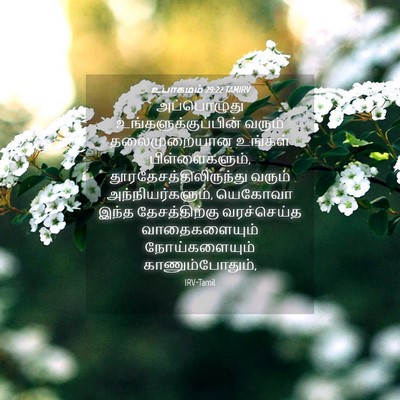 Picture 04 - உபாகமம் 29:22 TAMIRV - அப்பொழுது - Bible Verse Picture