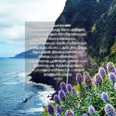 Picture 04 - உபாகமம் 29:23 TAMIRV - யெகோவா தமது - Bible Verse Picture