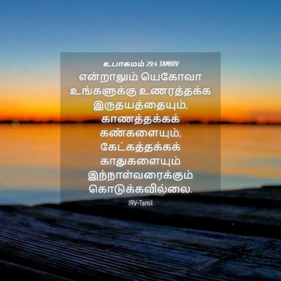 Picture 04 - உபாகமம் 29:4 TAMIRV - என்றாலும் யெகோவா - Bible Verse Picture