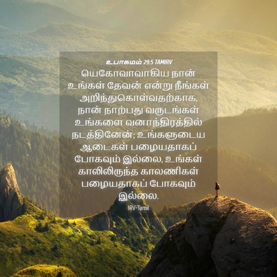 Picture 04 - உபாகமம் 29:5 TAMIRV - யெகோவாவாகிய நான் - Bible Verse Picture