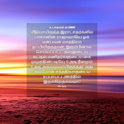 Picture 04 - உபாகமம் 3:11 TAMIRV - மீதியாயிருந்த - Bible Verse Picture
