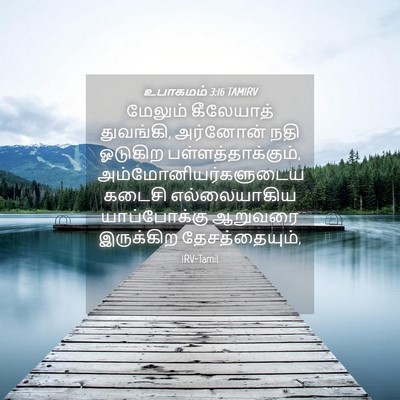 Picture 04 - உபாகமம் 3:16 TAMIRV - மேலும் கீலேயாத் - Bible Verse Picture