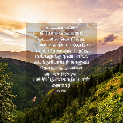 Picture 04 - உபாகமம் 3:28 TAMIRV - நீ யோசுவாவுக்குக் - Bible Verse Picture