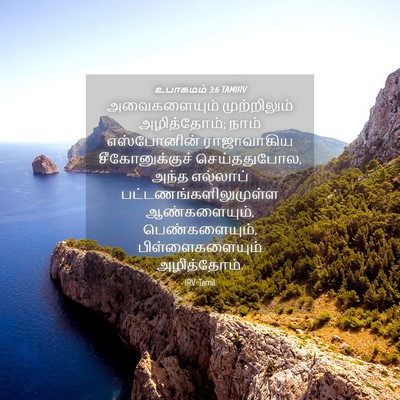 Picture 04 - உபாகமம் 3:6 TAMIRV - அவைகளையும் - Bible Verse Picture