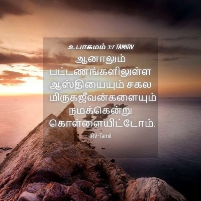 Picture 04 - உபாகமம் 3:7 TAMIRV - ஆனாலும் - Bible Verse Picture