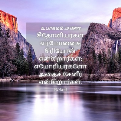 Picture 04 - உபாகமம் 3:9 TAMIRV - சீதோனியர்கள் - Bible Verse Picture