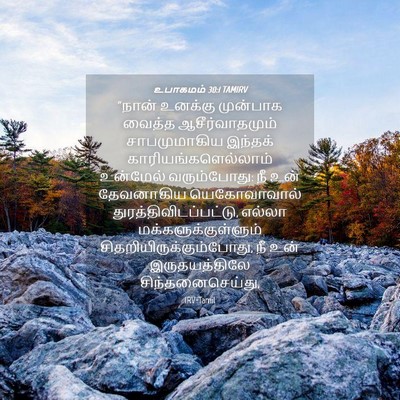 Picture 04 - உபாகமம் 30:1 TAMIRV - “நான் உனக்கு - Bible Verse Picture