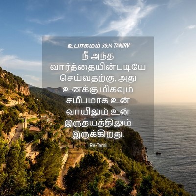 Picture 04 - உபாகமம் 30:14 TAMIRV - நீ அந்த - Bible Verse Picture