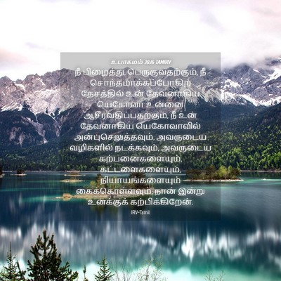 Picture 04 - உபாகமம் 30:16 TAMIRV - நீ பிழைத்து, - Bible Verse Picture