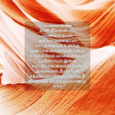 Picture 04 - உபாகமம் 30:19 TAMIRV - நான் ஜீவனையும், - Bible Verse Picture