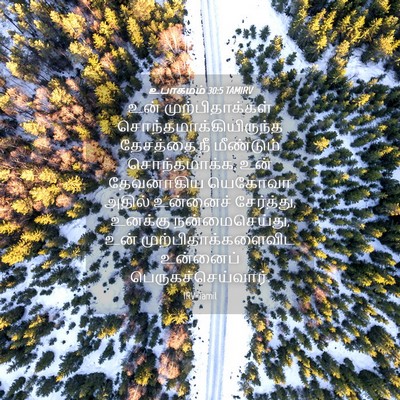 Picture 04 - உபாகமம் 30:5 TAMIRV - உன் முற்பிதாக்கள் - Bible Verse Picture