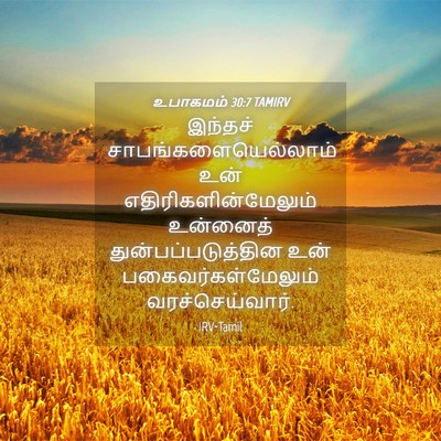 Picture 04 - உபாகமம் 30:7 TAMIRV - இந்தச் - Bible Verse Picture