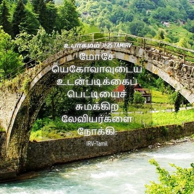 Picture 04 - உபாகமம் 31:25 TAMIRV - மோசே யெகோவாவுடைய - Bible Verse Picture