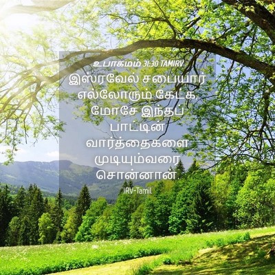 Picture 04 - உபாகமம் 31:30 TAMIRV - இஸ்ரவேல் சபையார் - Bible Verse Picture