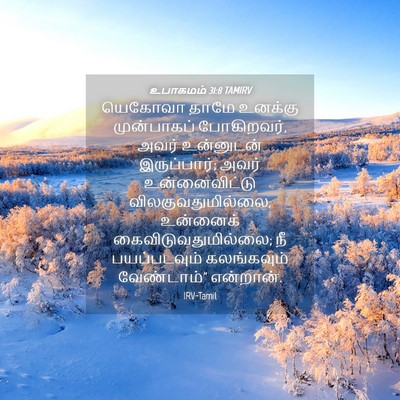 Picture 04 - உபாகமம் 31:8 TAMIRV - யெகோவா தாமே - Bible Verse Picture
