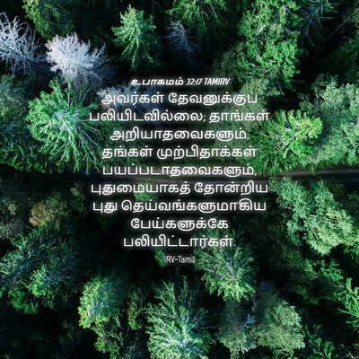 Picture 04 - உபாகமம் 32:17 TAMIRV - அவர்கள் - Bible Verse Picture