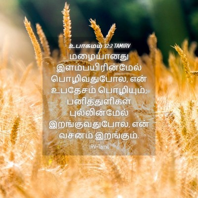 Picture 04 - உபாகமம் 32:2 TAMIRV - மழையானது - Bible Verse Picture