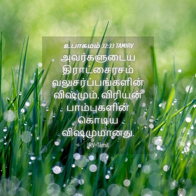 Picture 04 - உபாகமம் 32:33 TAMIRV - அவர்களுடைய - Bible Verse Picture