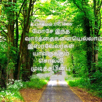 Picture 04 - உபாகமம் 32:45 TAMIRV - மோசே இந்த - Bible Verse Picture