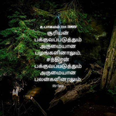 Picture 04 - உபாகமம் 33:14 TAMIRV - சூரியன் - Bible Verse Picture