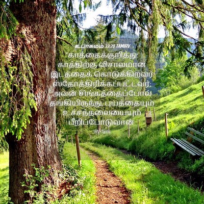 Picture 04 - உபாகமம் 33:20 TAMIRV -  - Bible Verse Picture