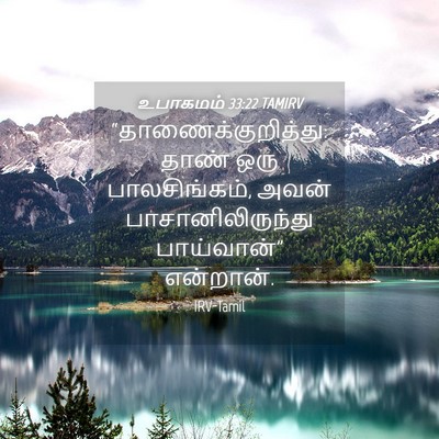 Picture 04 - உபாகமம் 33:22 TAMIRV - “தாணைக்குறித்து: - Bible Verse Picture