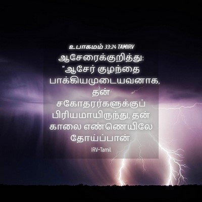 Picture 04 - உபாகமம் 33:24 TAMIRV - ஆசேரைக்குறித்து: - Bible Verse Picture