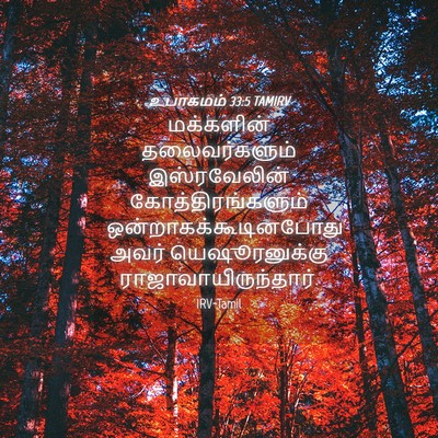 Picture 04 - உபாகமம் 33:5 TAMIRV - மக்களின் - Bible Verse Picture