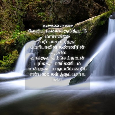 Picture 04 - உபாகமம் 33:8 TAMIRV -  - Bible Verse Picture