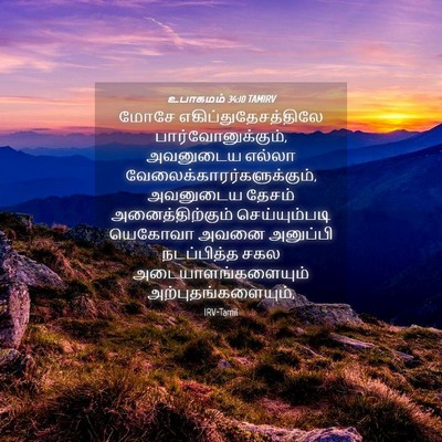Picture 04 - உபாகமம் 34:10 TAMIRV - மோசே - Bible Verse Picture