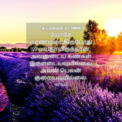 Picture 04 - உபாகமம் 34:7 TAMIRV - மோசே - Bible Verse Picture