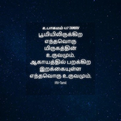 Picture 04 - உபாகமம் 4:17 TAMIRV - பூமியிலிருக்கிற - Bible Verse Picture