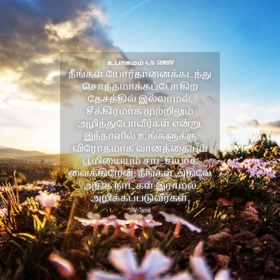 Picture 04 - உபாகமம் 4:26 TAMIRV - நீங்கள் - Bible Verse Picture