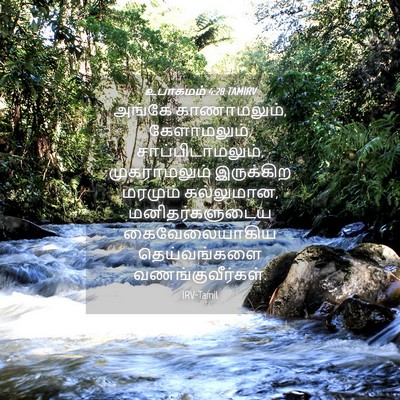 Picture 04 - உபாகமம் 4:28 TAMIRV - அங்கே காணாமலும், - Bible Verse Picture