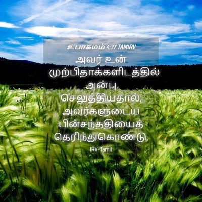 Picture 04 - உபாகமம் 4:37 TAMIRV - அவர் உன் - Bible Verse Picture