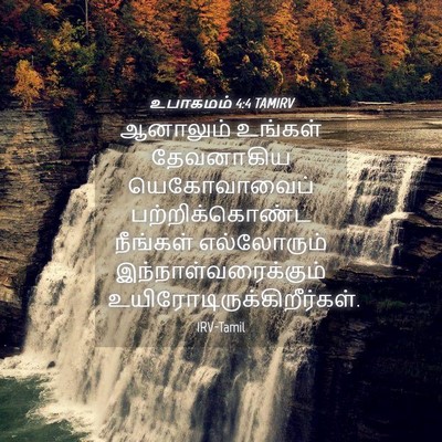 Picture 04 - உபாகமம் 4:4 TAMIRV - ஆனாலும் உங்கள் - Bible Verse Picture