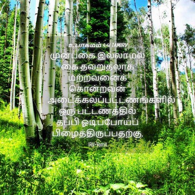 Picture 04 - உபாகமம் 4:41 TAMIRV - முன்பகை இல்லாமல் - Bible Verse Picture