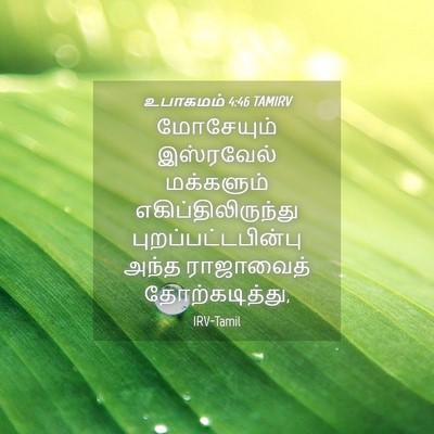 Picture 04 - உபாகமம் 4:46 TAMIRV - மோசேயும் இஸ்ரவேல் - Bible Verse Picture