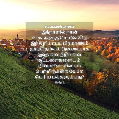 Picture 04 - உபாகமம் 4:8 TAMIRV - இந்நாளில் நான் - Bible Verse Picture