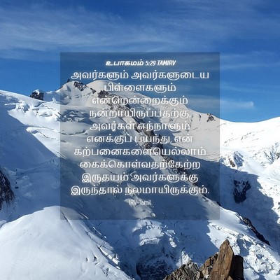 Picture 04 - உபாகமம் 5:29 TAMIRV - அவர்களும் - Bible Verse Picture