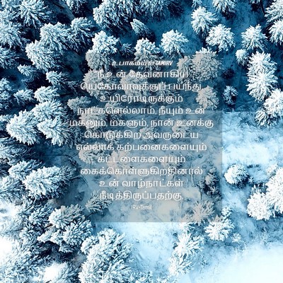 Picture 04 - உபாகமம் 6:1 TAMIRV - “நீ உன் தேவனாகிய - Bible Verse Picture