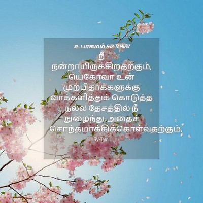 Picture 04 - உபாகமம் 6:18 TAMIRV - நீ - Bible Verse Picture