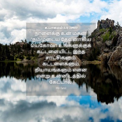 Picture 04 - உபாகமம் 6:20 TAMIRV - நாளைக்கு உன் மகன்: - Bible Verse Picture