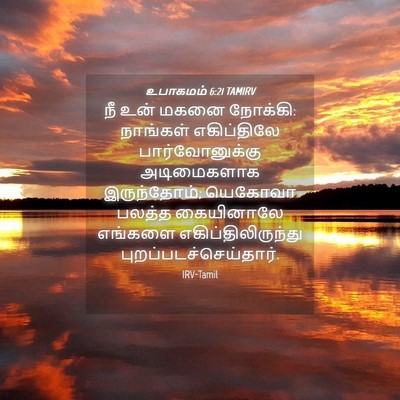 Picture 04 - உபாகமம் 6:21 TAMIRV - நீ உன் மகனை நோக்கி: - Bible Verse Picture