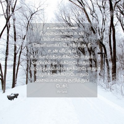 Picture 04 - உபாகமம் 6:7 TAMIRV - நீ அவைகளை உன் - Bible Verse Picture